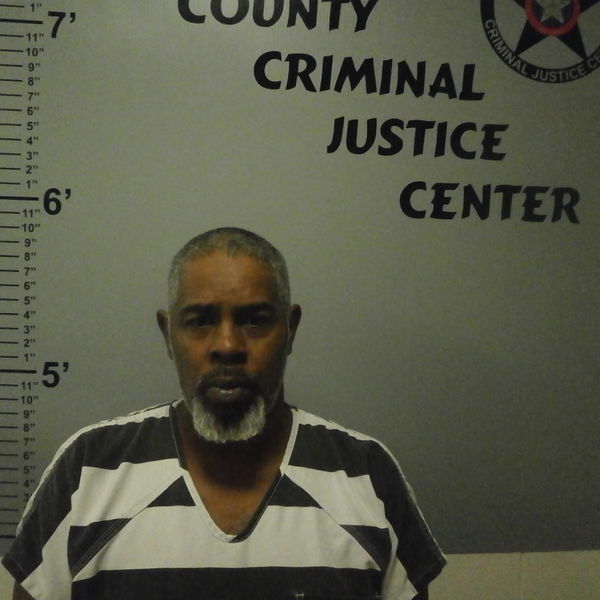 Man arrested after 14 dogs found dead, 20 others malnourished
